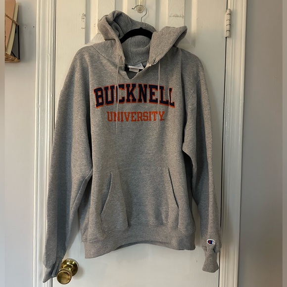 COPY - Bucknell university hoodie - Picture 1 of 2